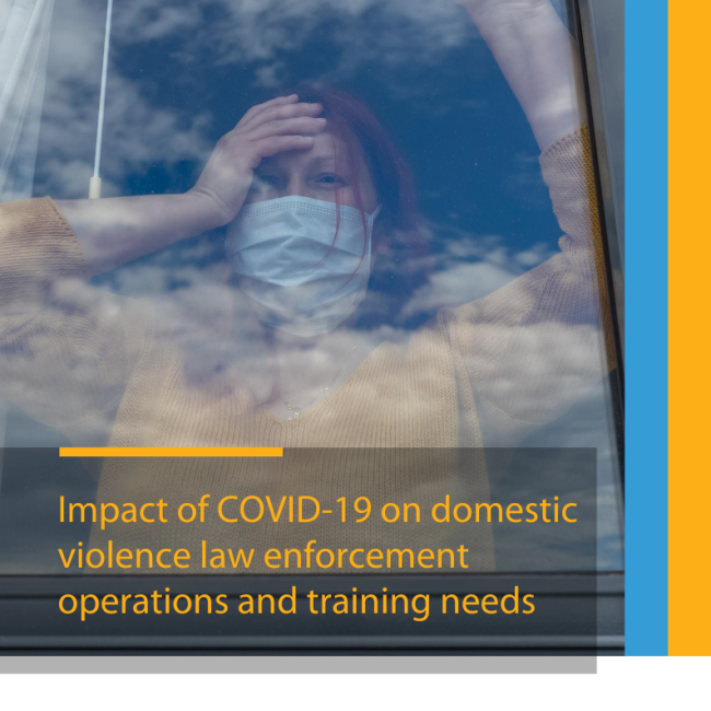 Cover domestic violence.png