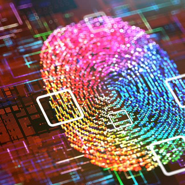 iStock-2172247143.jpg