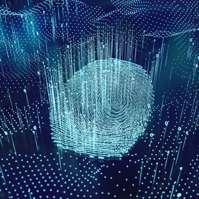 iStock-2218739628.jpg