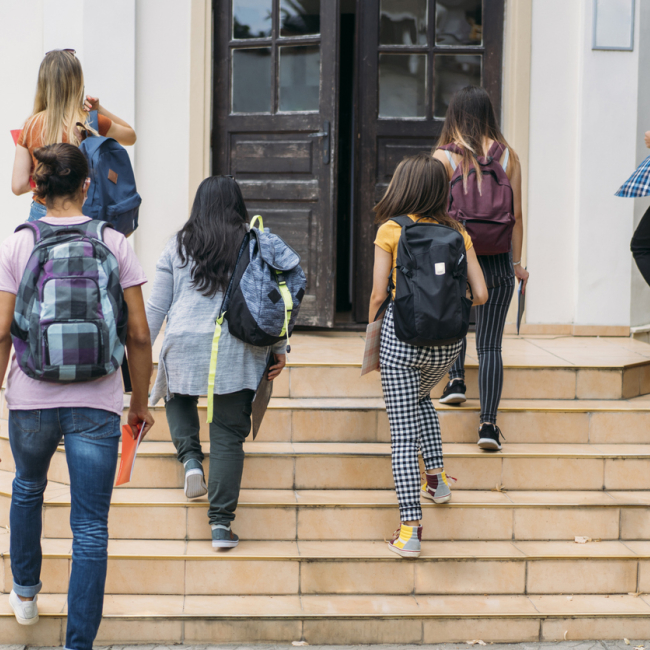 3079/2025/web